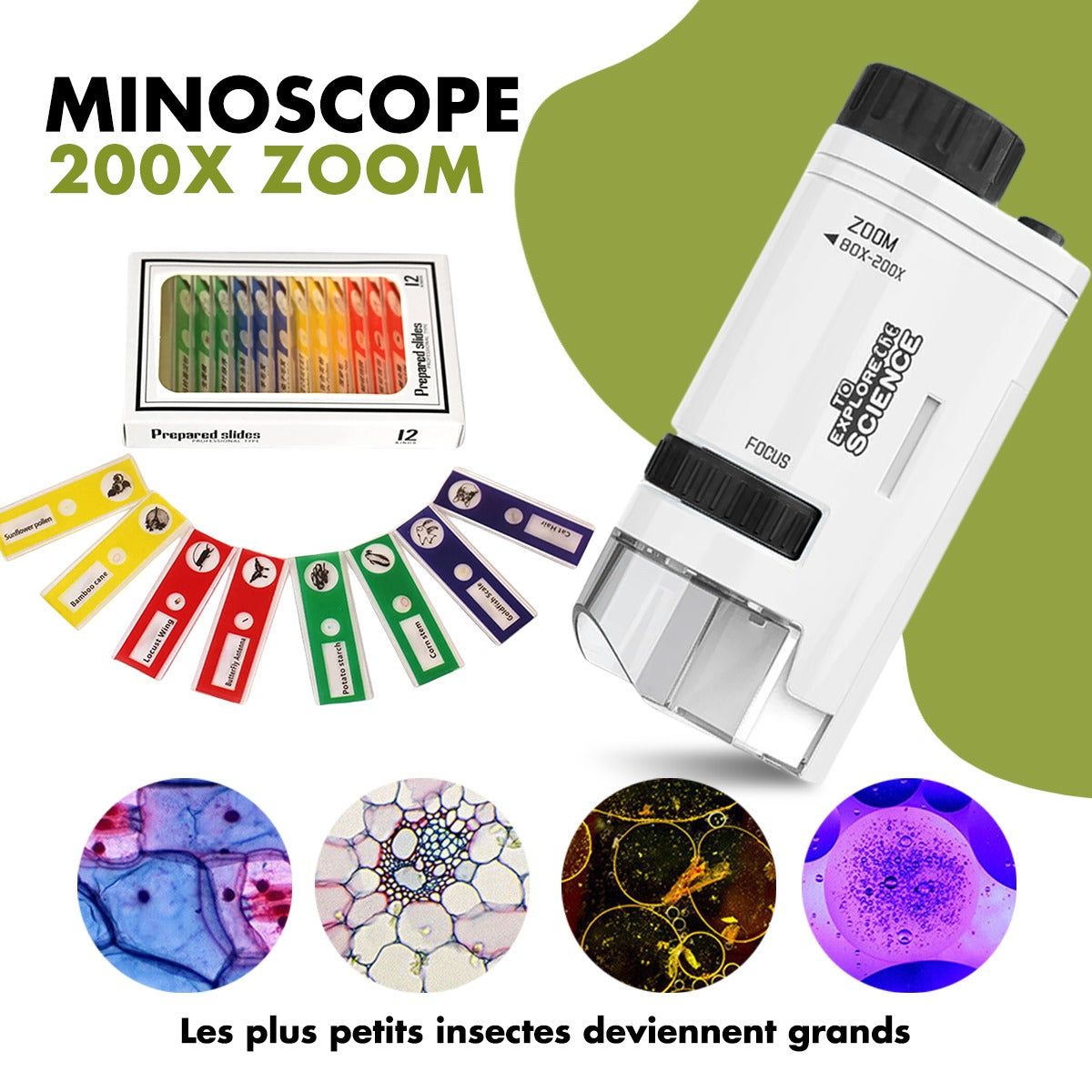 Le Minoscope