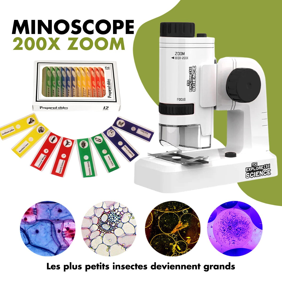Le Minoscope